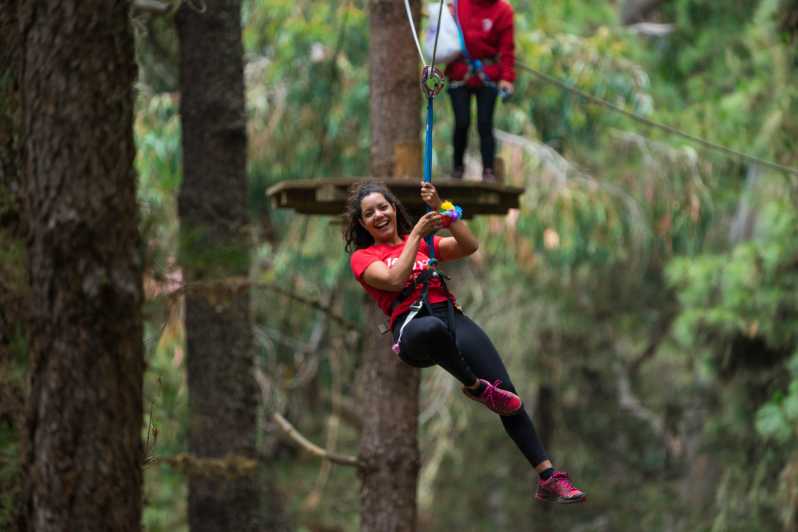 Tenerife: Forestal Park Tenerife Entry Ticket - Safety Precautions and Instructors