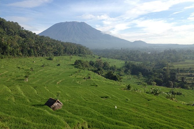 Tenganan Village Rice Field Trekking Tour - Inclusions and Logistics