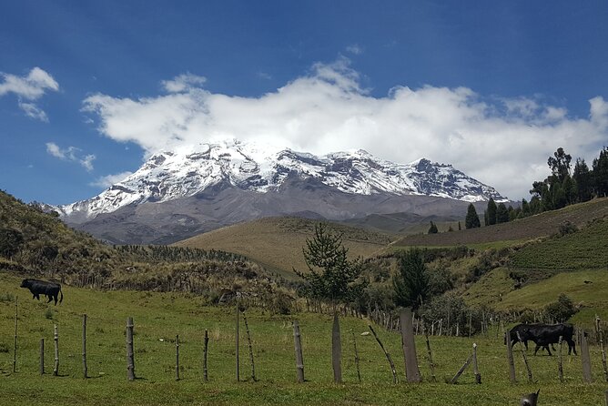 The Best of Ecuador & Galapagos 12 Days / 11 Nights - Itinerary Overview