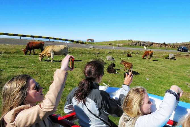 The Best of Southwest - Open Top Roof 4x4 Experience - Tour Details