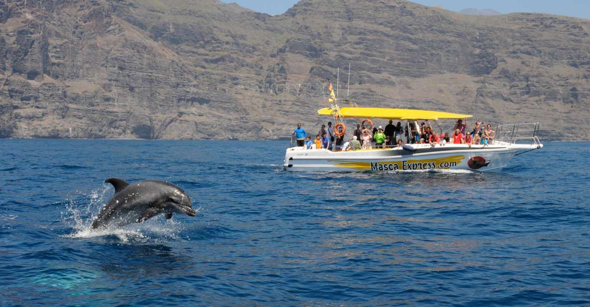 The Giants: Dolphin & Whale Watching Cruise With Swimming - Booking and Availability