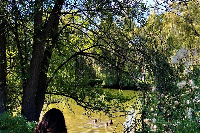 The Great Forest Immersion Tour in Canada - Activity Details