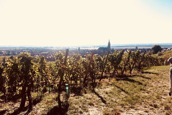 The Little Alsatian Tour With a Local Private Friendly Driver and a Tesla - Tour Details
