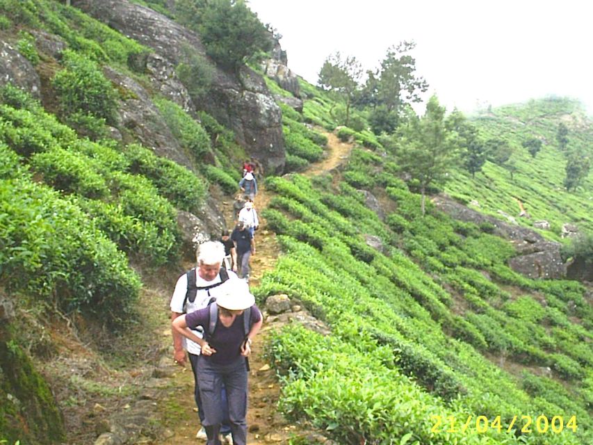 The Pekoe Trail, Stage 12, Trekking Fm Udaweriya To Haputale - Trekking Availability and Cancellation