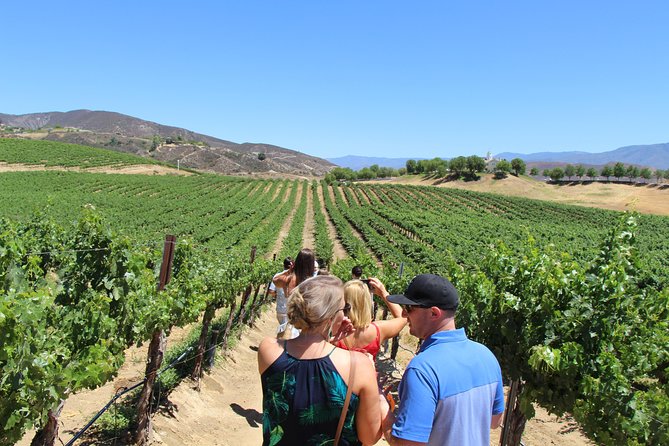 The Temecula Wine Tour From Anaheim - Pickup and Meeting Points