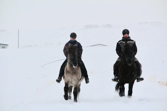 The Viking Horse Riding Experience in North Iceland - Meeting and End Points