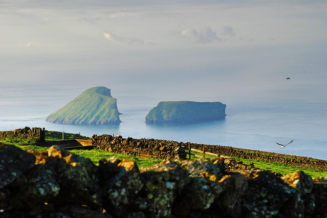 Third Island Best Viewpoints: Half Day Tour - Whats Included in the Experience