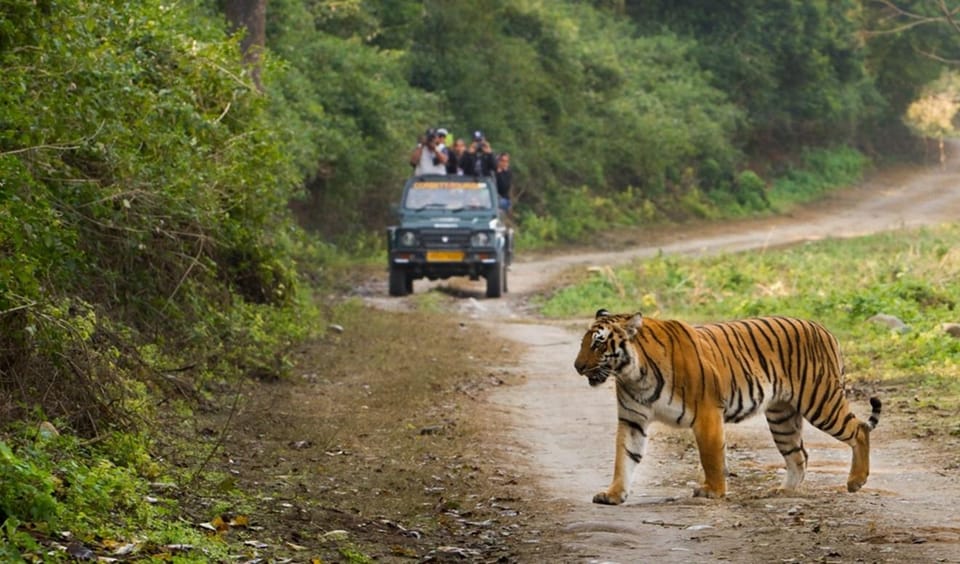 This 2-Day Tiger Safari Tour of Jim Corbett National Park - Itinerary for Day 1