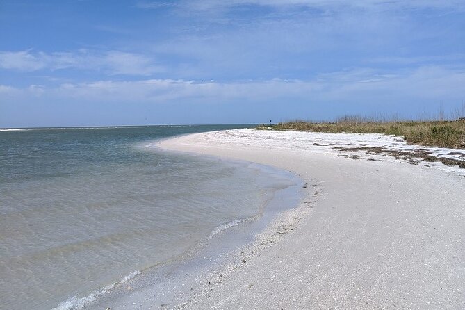 Three Hour Shelling Cruise to Shell Key Preserve From Johns Pass - Meeting Point and Schedule
