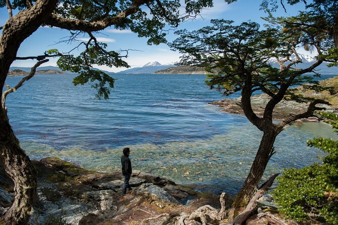 Tierra Del Fuego National Park for Cruise Travelers With Fee - Customer Reviews and Ratings