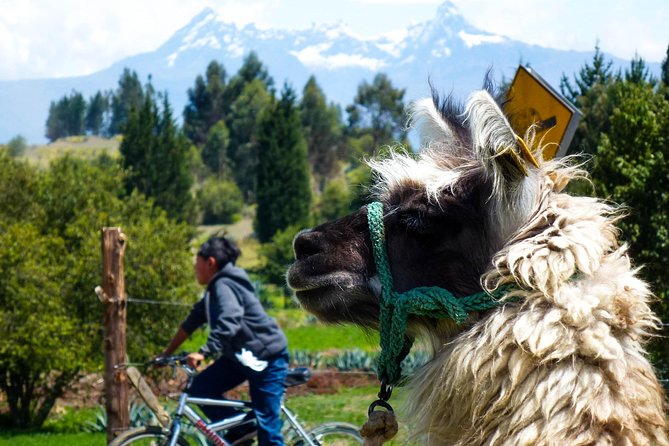 Top Ten Wonders of Ecuador Tour From Quito End in Cuenca - Major Attractions