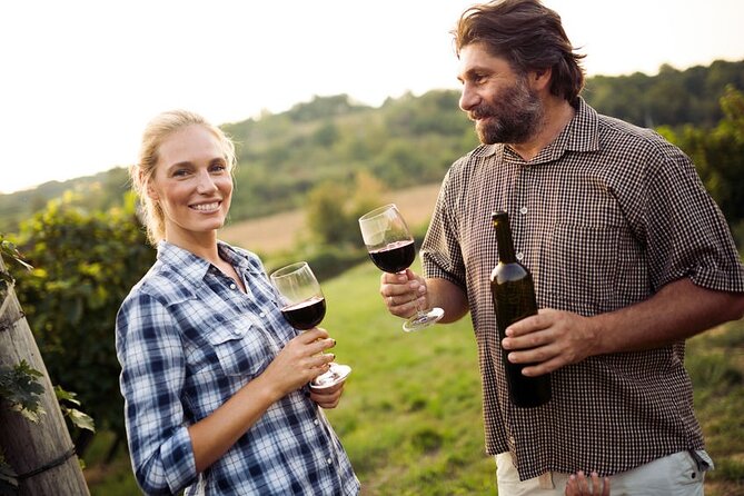 Toronto: Private Wine Tasting Tour in Niagara-on-the-Lake - Lunch Tasting at Between the Lines Estate Winery
