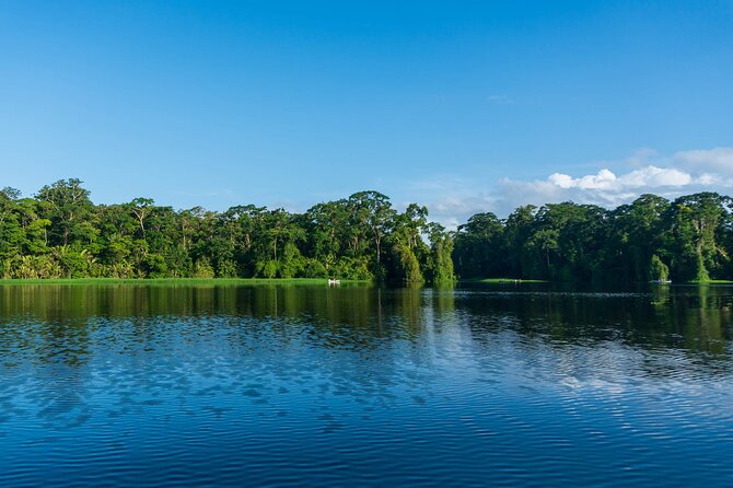 Tortuguero: Canoe Tour, Day Hike, Hill Tour, Night Tour or Spawning - Pricing and Inclusions