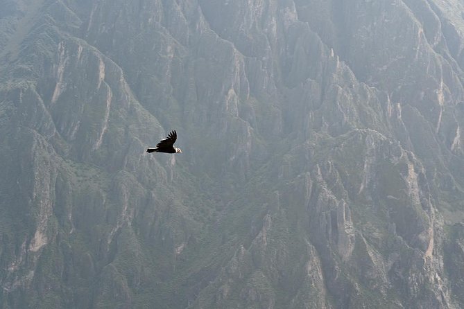 TOUR COLCA CANYON (FULL DAY) - Shared Service - Transportation and Meals
