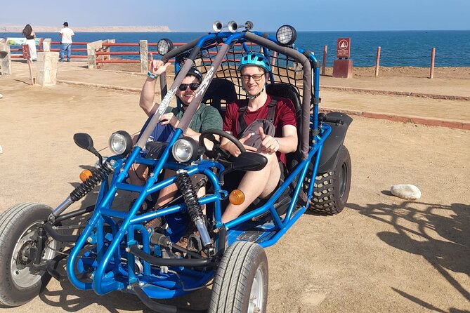 Tour the Paracas National Reserve in a MiniBuggy - Helmet Safety and Entrance Fees