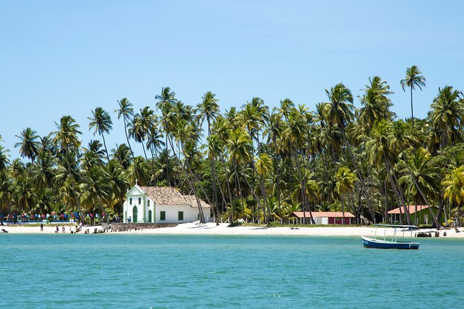 Tour to Carneiros Beach - Itinerary Highlights