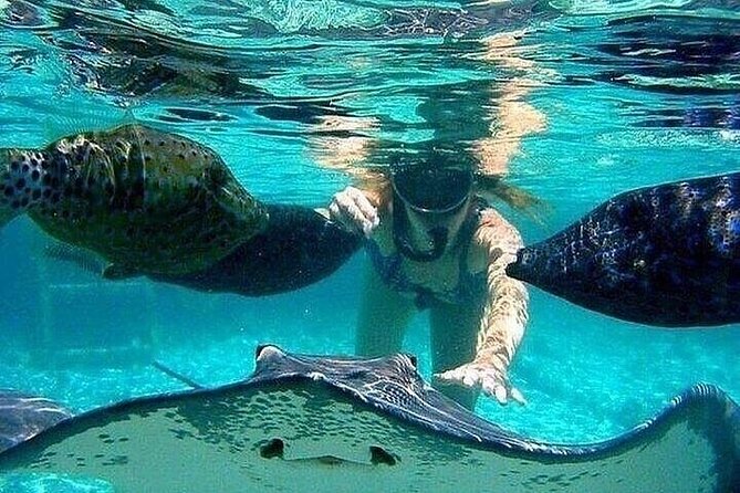 Tour To Johnny Cay Haynes Cay Aquarium And Mnaglares - Itinerary Highlights