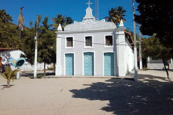 Tour to Mangue Seco, Leaving Salvador-Bahia - Itinerary and Activities