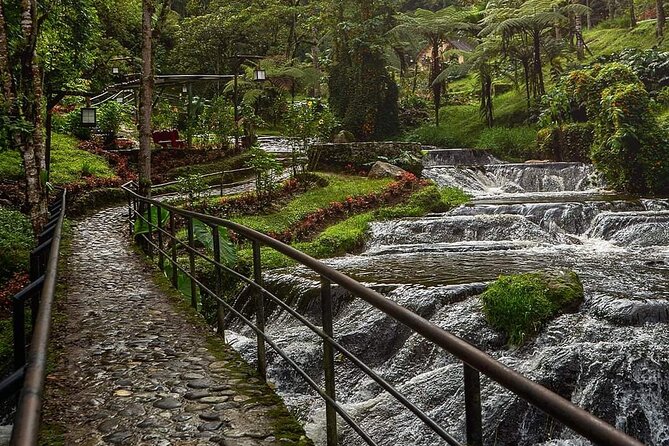 Tour to Santa Rosa De Cabal Coffee Farm and Hot Springs - Coffee Tasting Experience