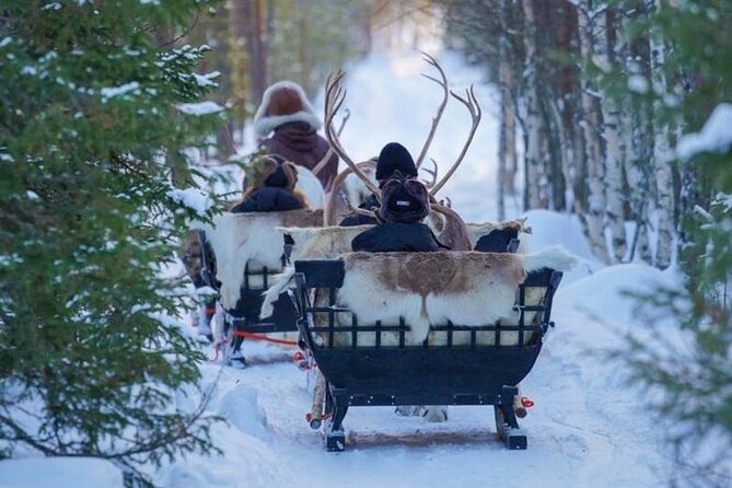Traditional Reindeer Farm Visit With a Short Sleigh Ride - Meeting Point and Pickup Details