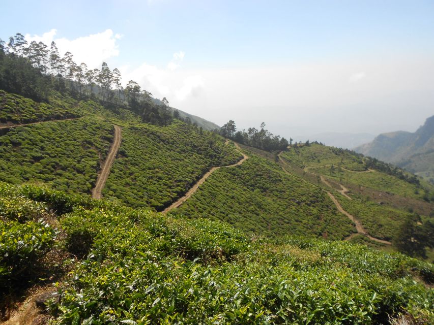 Trail Running From Haputele to Bambarakanda Water Falls - Scenic Highlights