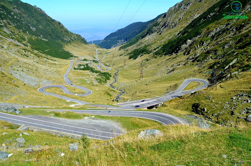 Transfagarasan Amazing Road Trip🐻 From Brasov - Scenic Highlights