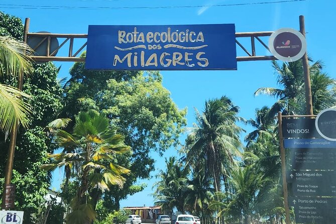 Transfer From Maceió to São Miguel Dos Milagres - Pickup and Drop-off Locations