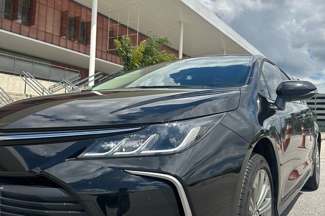 Transfer From São Paulo to Port of Santos - Accessibility and Participation