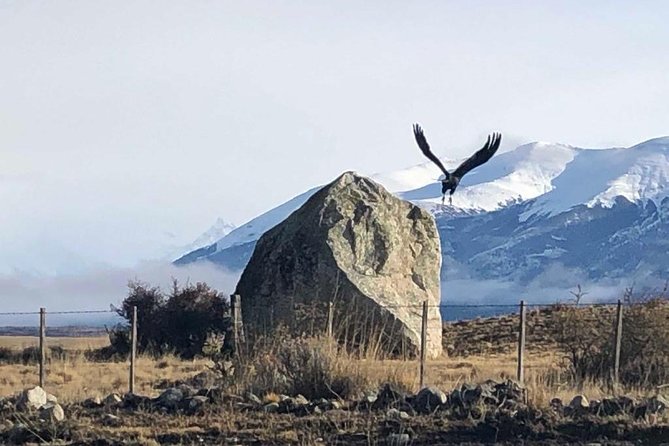 Transfer to and Form Airport El Calafate - Pickup and Drop-off Arrangements