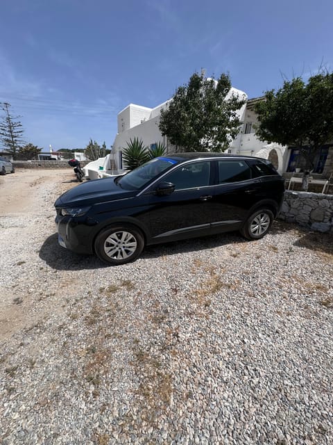 Transfer & Tours Mykonos - Experience and Activities