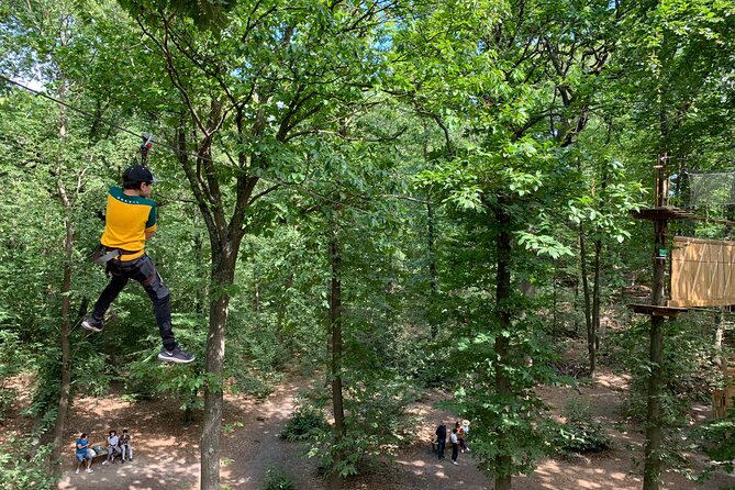 Tree Climbing Course in the Middle of the Forest in Saint-Germain-En-Laye - Getting to the Meeting Point