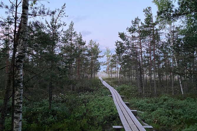 Trip to Kemeri National Park & Jurmala From Riga - Dzintari Concert Hall and Wooden Cottages