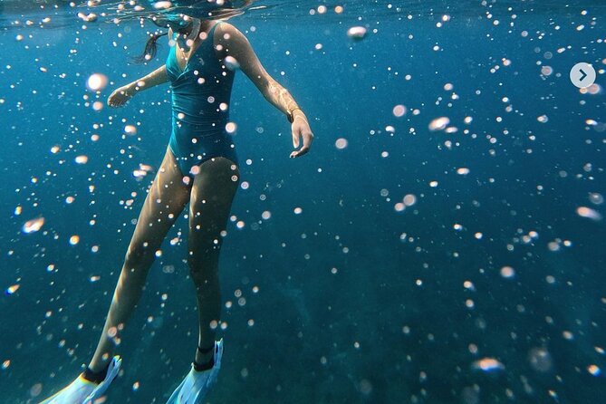 Tropical Reef & Wildlife Boat Snorkel Adventure - Meeting Location and Schedule