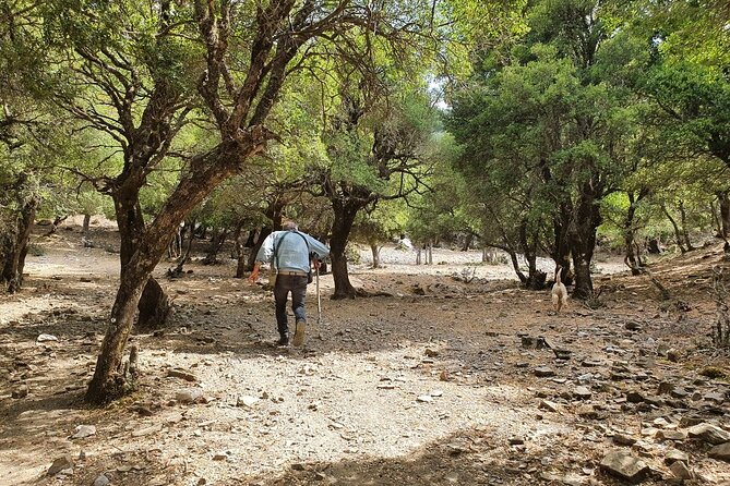 Truffle Hunting, Culinary & Wine Celebration From Heraklion - Inclusions and Amenities