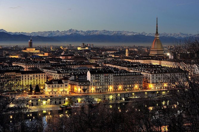 Turin Airport Private Arrival Transfer - Transfer Details