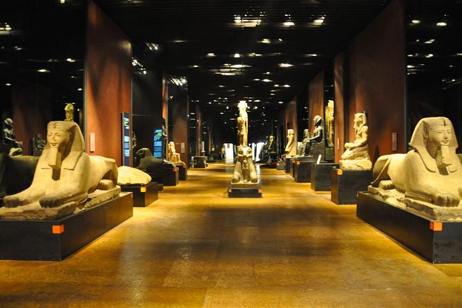 Turin Egyptian Museum Entry Ticket Including Special Exhibits - Permanent Collections and Special Exhibits