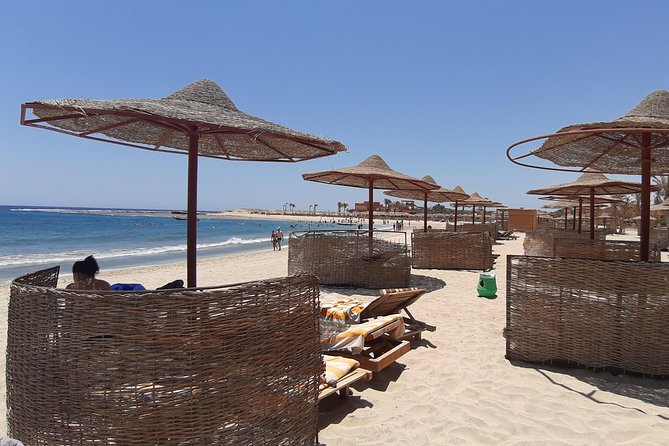 Turtles Bay, Swimming With Turtles Hurghada & Marsa ALAM - Unique Swimming Experience