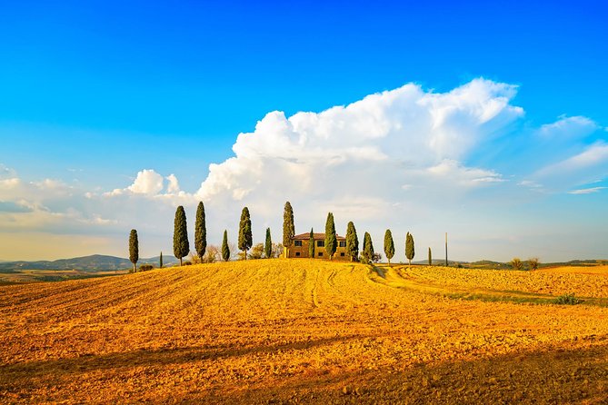 Tuscany Private Tour With Wine and Cheese Tasting From Florence - Transportation and Meeting Points