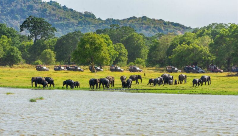 Tusker Safari at Kalawewa National Park - Location and Itinerary