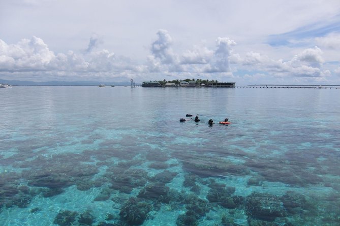 Twin Island Snorkeling Adventure at Hiltungan and Nalsuan - Snorkeling Experience Highlights