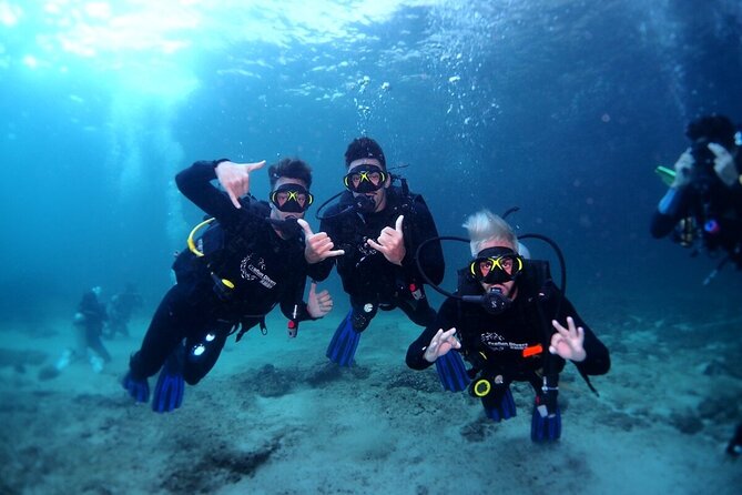 Two Dives for Certified Divers and Snorkeling in Fujairah - Pickup and Start Time