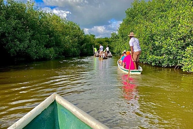 Typical Lunch on the Beach, Mangrove Ecotour and Fishing With Natives - Itinerary Details