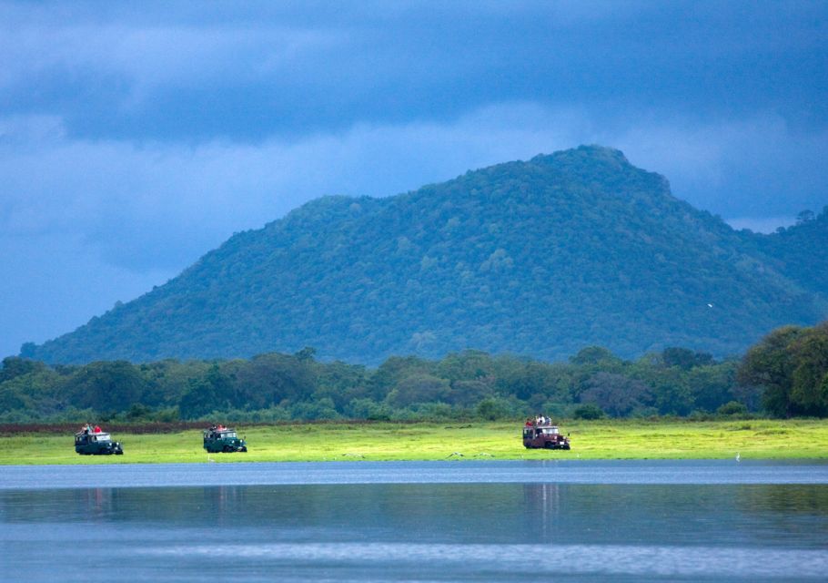 Udawalawe National Park Private Full-Day Safari - Wildlife Sightings