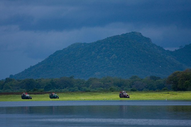 Udawalawe National Park Safari From Bentota - Pickup Locations and Timing