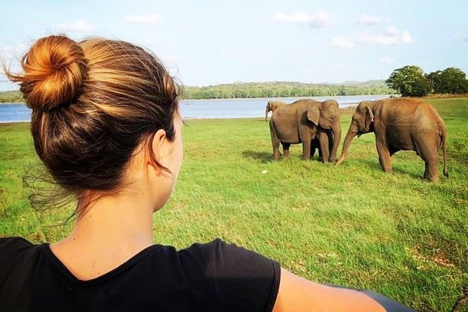 Udawalawe National Park Safari With Transfers From Colombo - Transportation Options