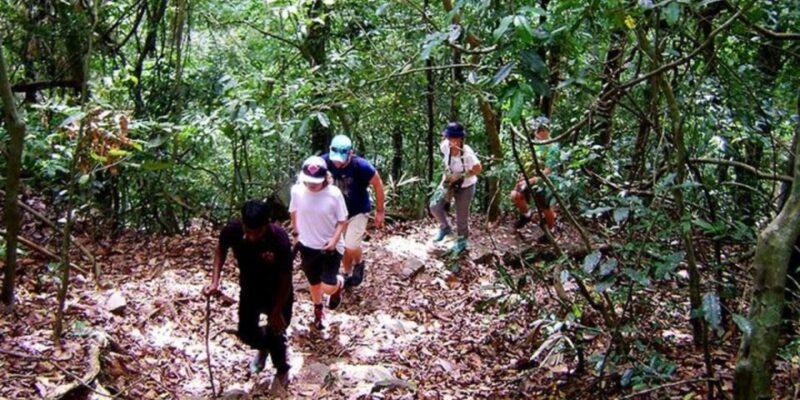 Udawatte Kele:Birdwatching and Nature Trekking Experience - Itinerary and Transportation