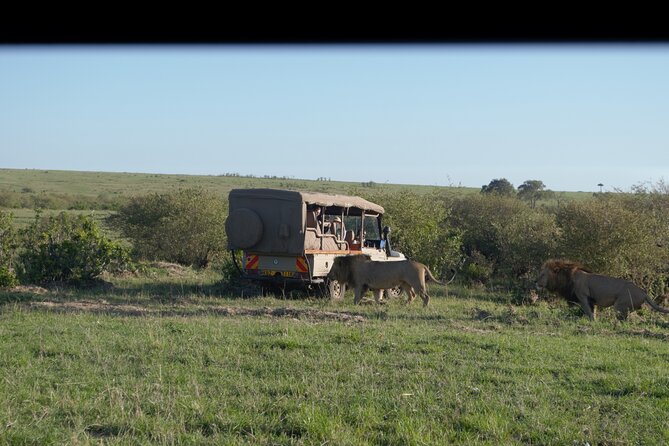 Ultimate 12 Days Private Safari Tour in Kenya and Tanzania - Ol Pejeta Conservancy Experience