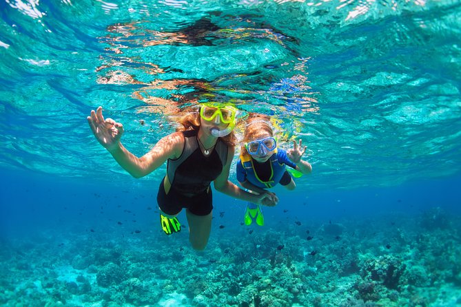 Ultimate Grand Oahu Circle Island Tour With Snorkeling and More - Participant Guidelines