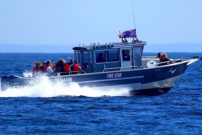 Ultimate Marine Whale & Wildlife Tour - Tour Logistics and Requirements