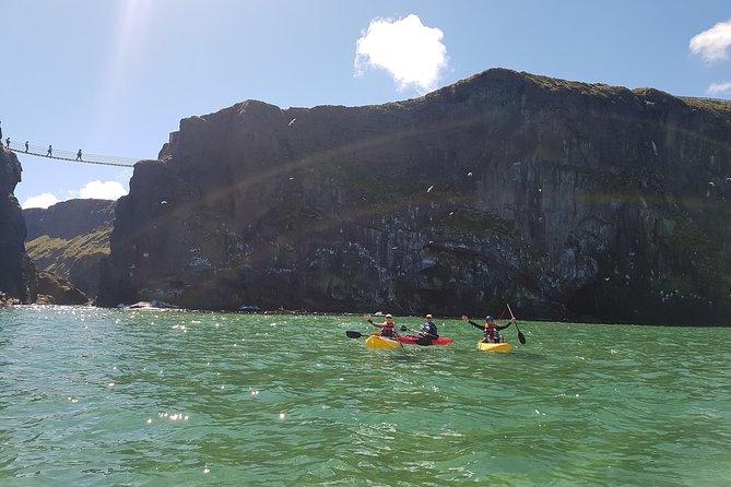 Under the Rope Bridge Tour - Highlights of the Experience